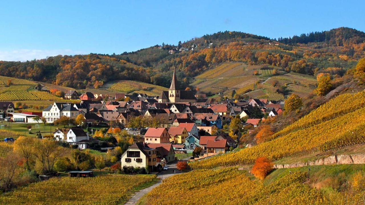 Hotel De L'Ange Niedermorschwihr Kültér fotó